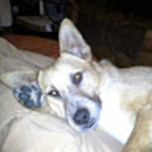 Meet your Posher, Julie